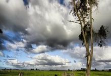 17com黑料爆料视频在线看免费版的简单介绍